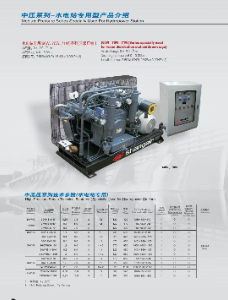 水电站专用压缩机